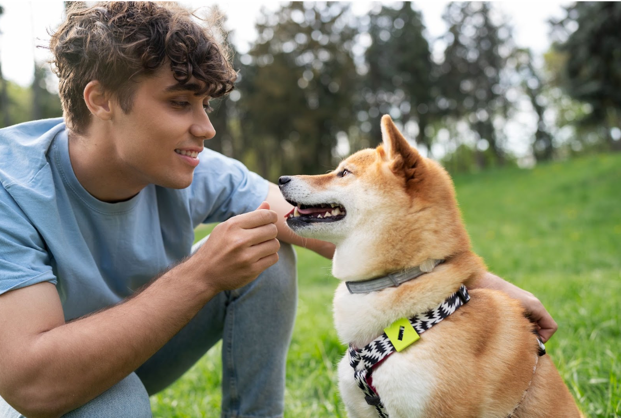 How to Teach Your Dog to Kiss 